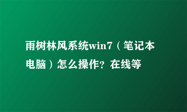 雨树林风系统win7（笔记本电脑）怎么操作？在线等