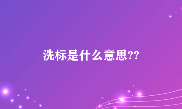 洗标是什么意思??