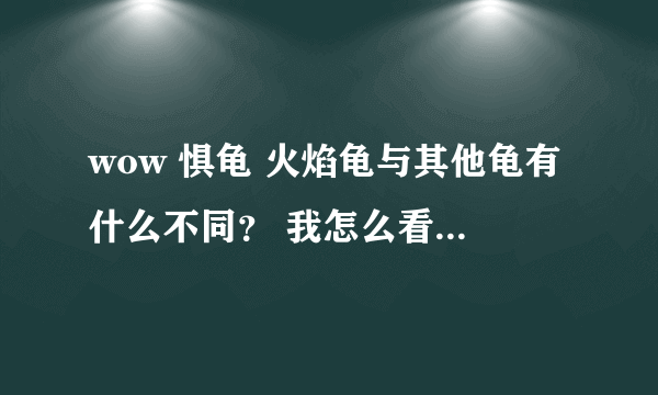 wow 惧龟 火焰龟与其他龟有什么不同？ 我怎么看属性都一样 就好看？