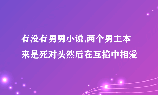 有没有男男小说,两个男主本来是死对头然后在互掐中相爱