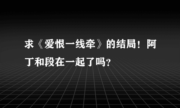 求《爱恨一线牵》的结局！阿丁和段在一起了吗？