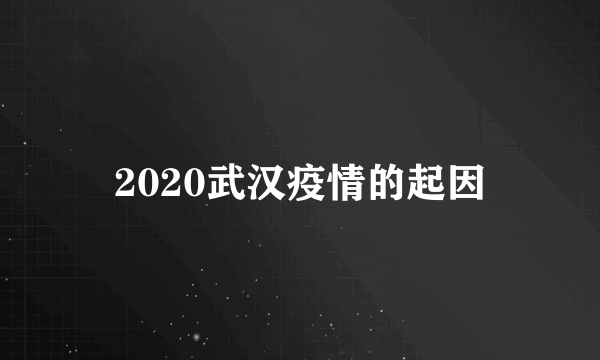 2020武汉疫情的起因