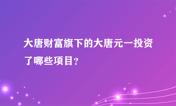 大唐财富旗下的大唐元一投资了哪些项目？