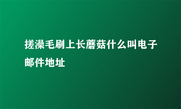 搓澡毛刷上长蘑菇什么叫电子邮件地址