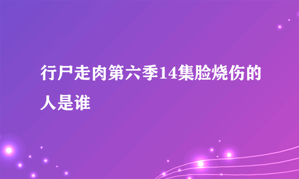 行尸走肉第六季14集脸烧伤的人是谁