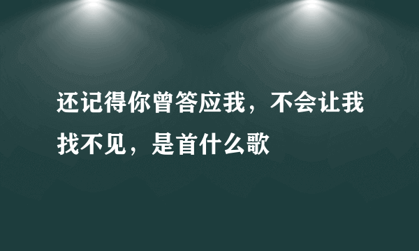 还记得你曾答应我，不会让我找不见，是首什么歌