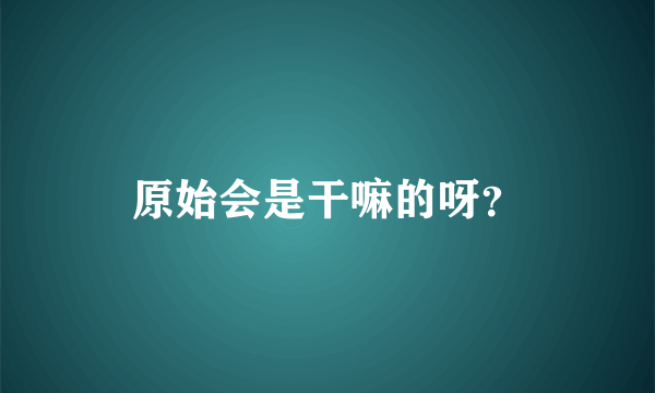 原始会是干嘛的呀？