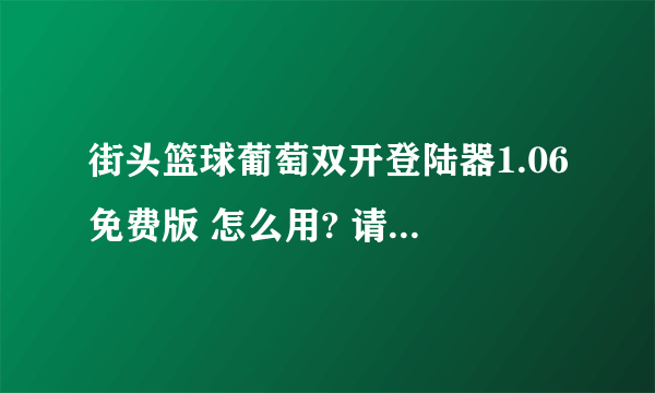 街头篮球葡萄双开登陆器1.06免费版 怎么用? 请高手教下!