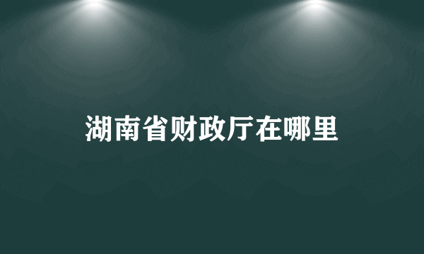 湖南省财政厅在哪里