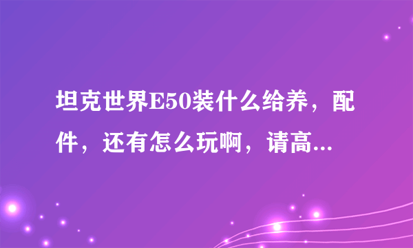 坦克世界E50装什么给养，配件，还有怎么玩啊，请高手指教.