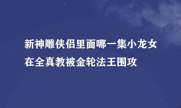 新神雕侠侣里面哪一集小龙女在全真教被金轮法王围攻