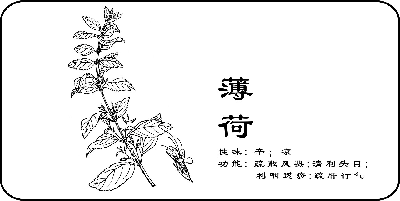 四川一男生手绘中草药图走红，他的画画水平如何？