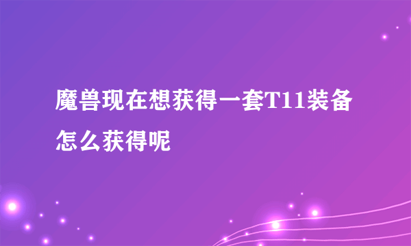 魔兽现在想获得一套T11装备怎么获得呢