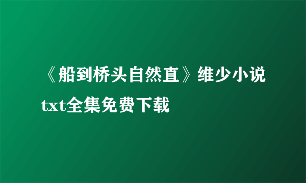 《船到桥头自然直》维少小说txt全集免费下载