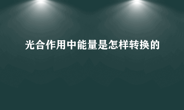 光合作用中能量是怎样转换的