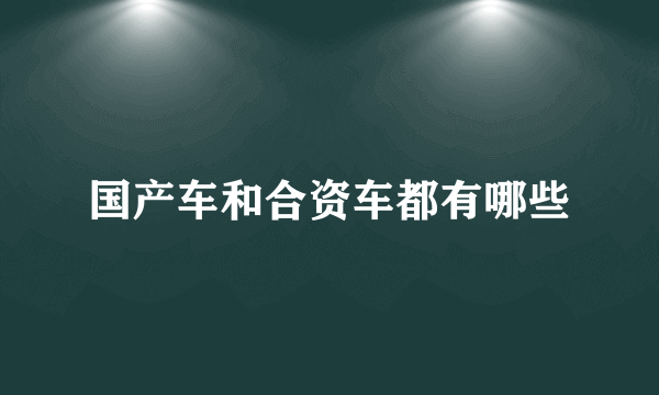 国产车和合资车都有哪些