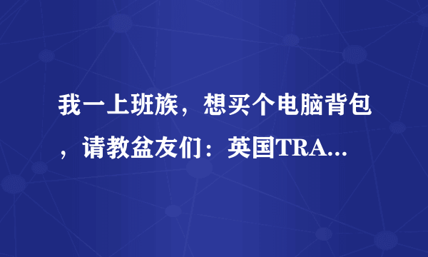 我一上班族，想买个电脑背包，请教盆友们：英国TRAVALUE电脑背包和瑞士军刀威戈的背包哪个比较合适？