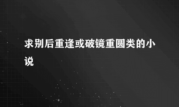 求别后重逢或破镜重圆类的小说