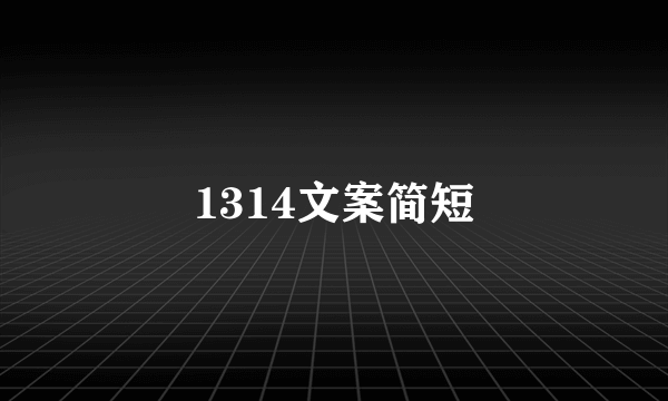 1314文案简短