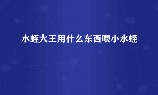 水蛭大王用什么东西喂小水蛭