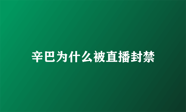 辛巴为什么被直播封禁