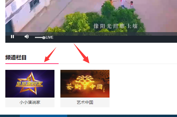 如何在网上收看cetv-2的节目