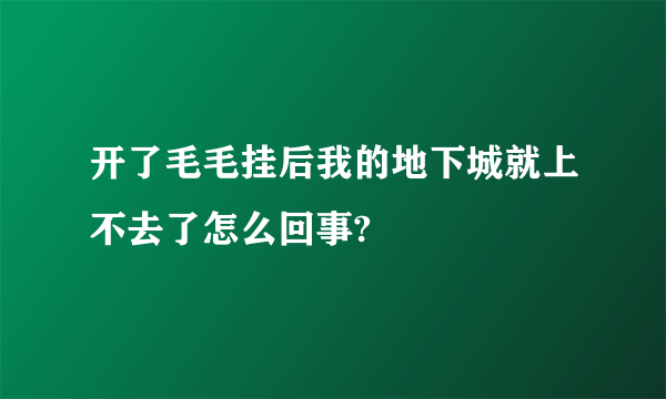 开了毛毛挂后我的地下城就上不去了怎么回事?