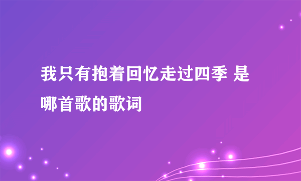 我只有抱着回忆走过四季 是哪首歌的歌词