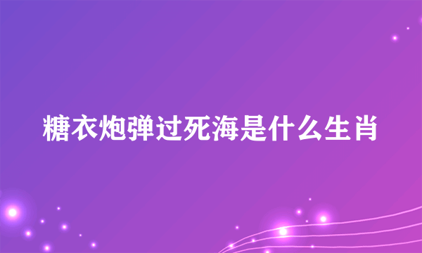 糖衣炮弹过死海是什么生肖