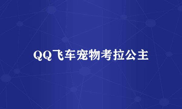 QQ飞车宠物考拉公主