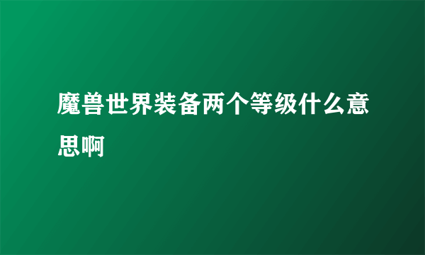 魔兽世界装备两个等级什么意思啊