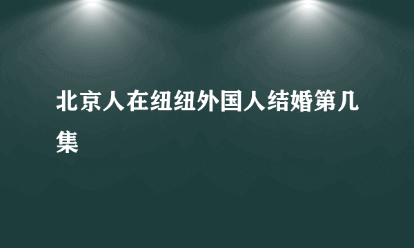 北京人在纽纽外国人结婚第几集