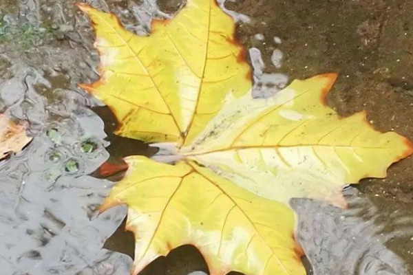 一场秋雨适合发朋友圈的句子