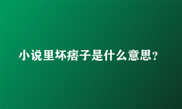 小说里坏痞子是什么意思？