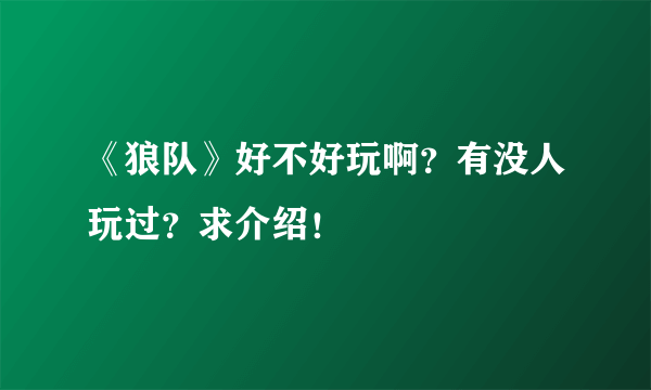 《狼队》好不好玩啊？有没人玩过？求介绍！