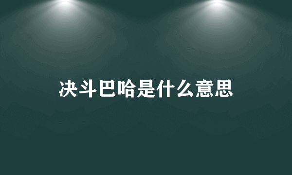 决斗巴哈是什么意思