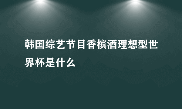 韩国综艺节目香槟酒理想型世界杯是什么