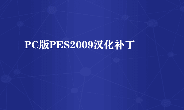 PC版PES2009汉化补丁