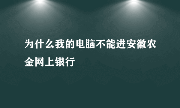 为什么我的电脑不能进安徽农金网上银行