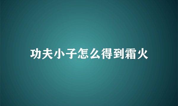 功夫小子怎么得到霜火