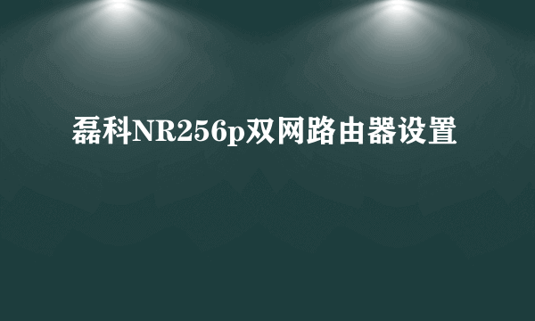 磊科NR256p双网路由器设置