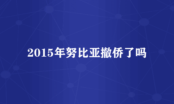 2015年努比亚撤侨了吗