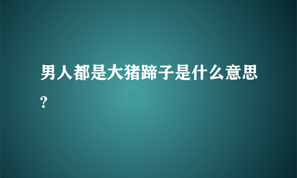 男人都是大猪蹄子是什么意思?