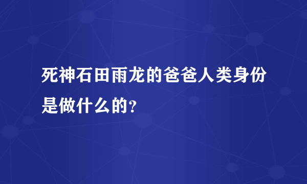 死神石田雨龙的爸爸人类身份是做什么的？