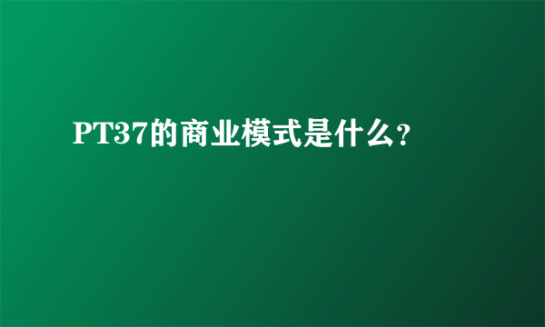 PT37的商业模式是什么？