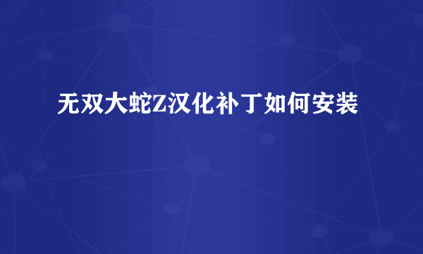 无双大蛇Z汉化补丁如何安装