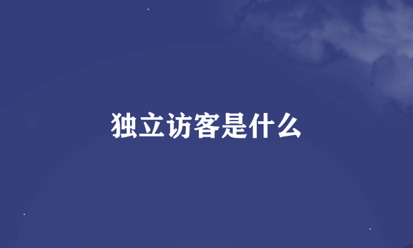 独立访客是什么