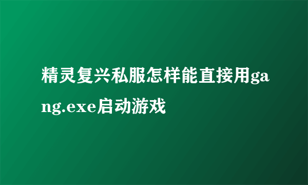 精灵复兴私服怎样能直接用gang.exe启动游戏