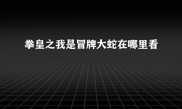 拳皇之我是冒牌大蛇在哪里看