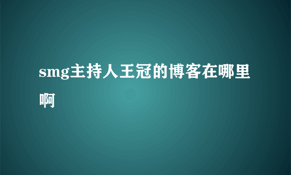 smg主持人王冠的博客在哪里啊